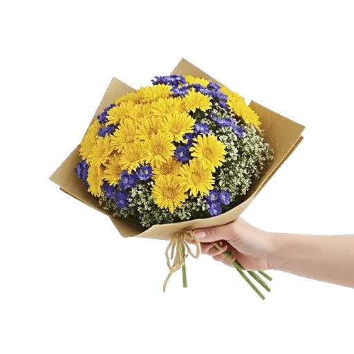 Daisy Meadow Spread