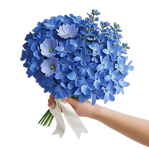 Blossom Petal Serenity