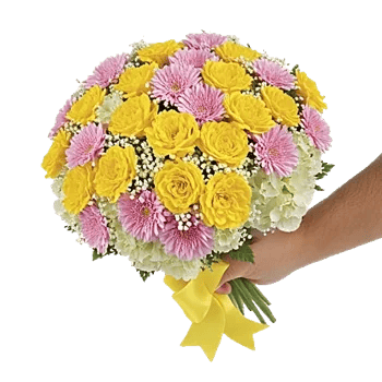 Petal Harmony Bliss