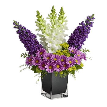 Lavender Bloom Grace