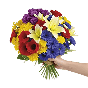 Blossom Harmony Display