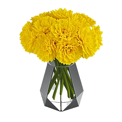 Radiant Bloom Cascade