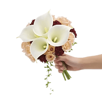 Elegant Calla Lilies