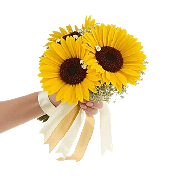 Radiant Bloom Cascade