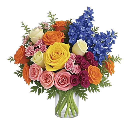 Radiant Rose Symphony