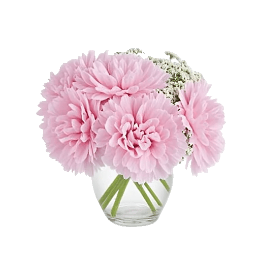 Delicate Petal Cascade