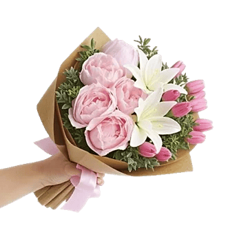 Peony Petal Harmony