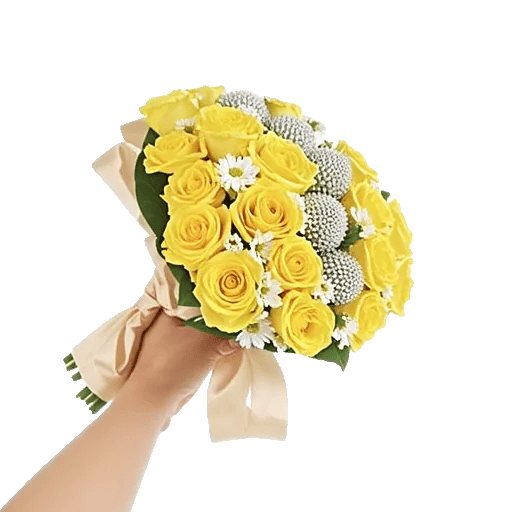 Blossom Harmony Display