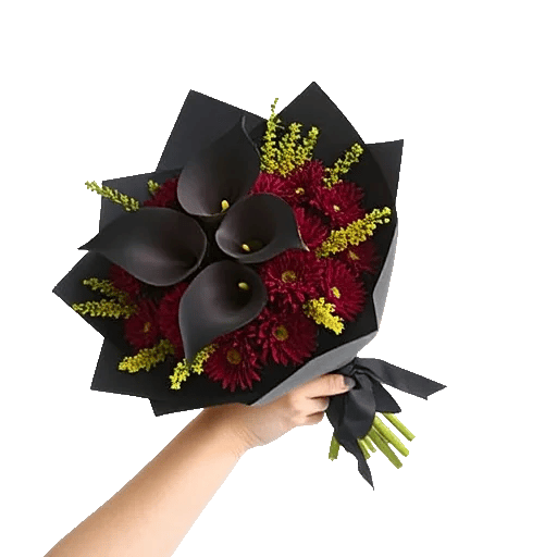 Elegant Calla Lilies