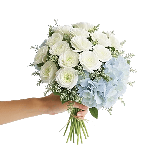Delicate Petal Cascade