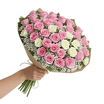 Blushing Rose Symphony