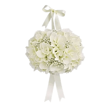 Ivory Blossom Radiance