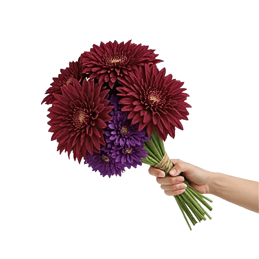 Crimson Blossom Harmony