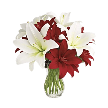 Graceful Lily Display
