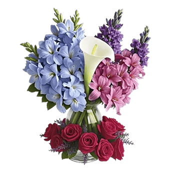 Elegant Calla Lilies