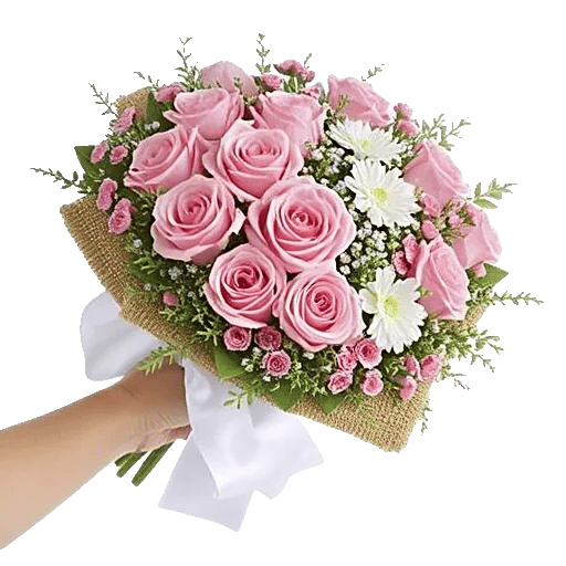 Blushing Rose Symphony