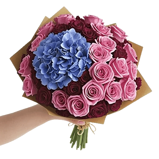 Serene Petal Harmony