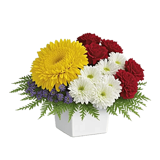 Blossom Harmony Display