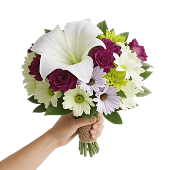 Elegant Calla Lilies