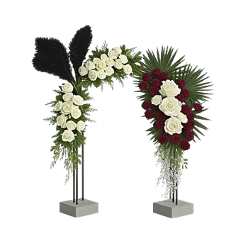 Modern White Orchids