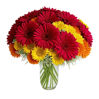 Crimson Blossom Harmony