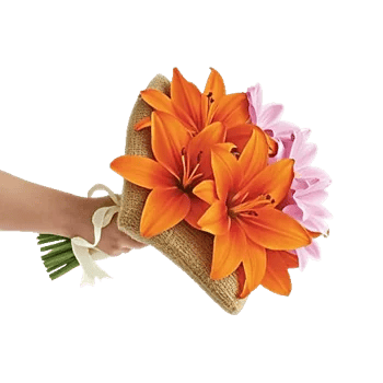 Blossom Glow Symphony