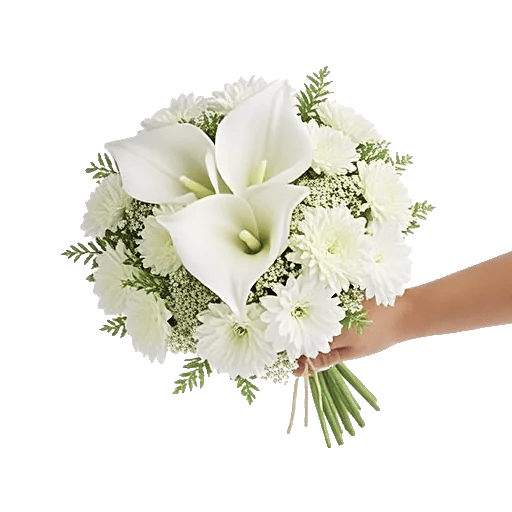 Elegant Calla Lilies