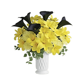 Elegant Calla Lilies