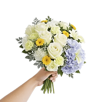 Ivory Garden Grace