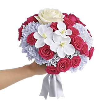 Delicate Petal Cascade