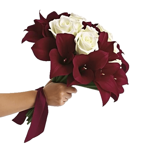 Elegant Calla Lilies