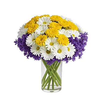 Petal Radiance Bliss