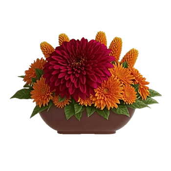 Crimson Blossom Harmony