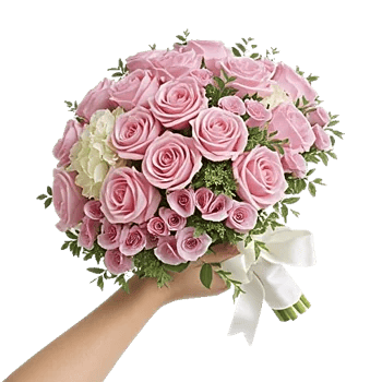 Blushing Rose Symphony