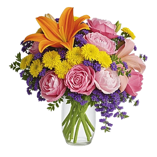 Petal Radiance Bliss