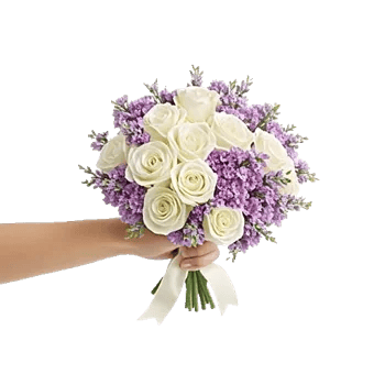 Ivory Garden Grace