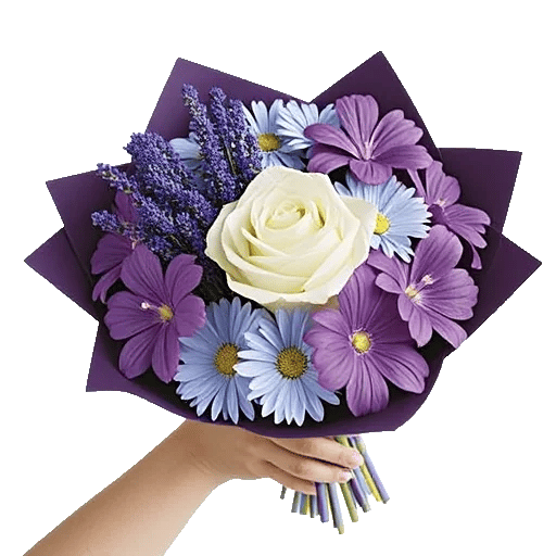 Serene Petal Harmony