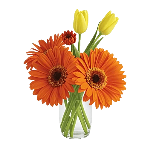 Petal Radiance Bliss