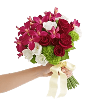 Blushing Rose Symphony
