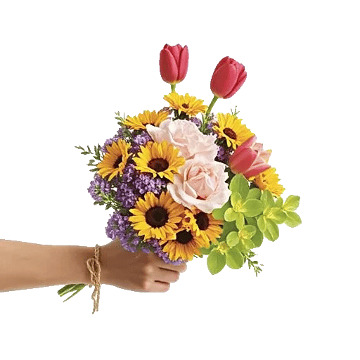 Blossom Harmony Display