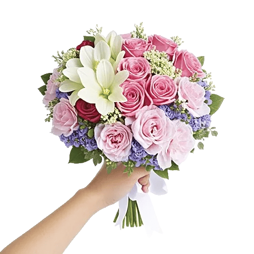 Petal Grace Harmony