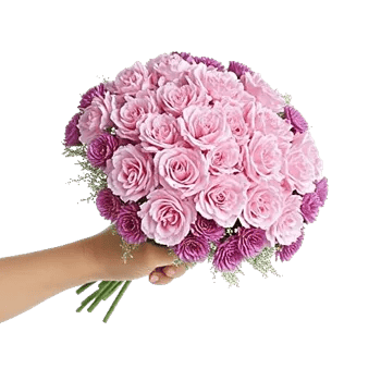 Pastel Pink Roses