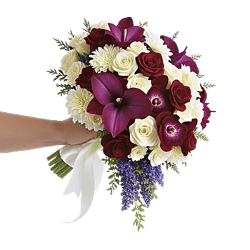 Orchid Bloom Cascade