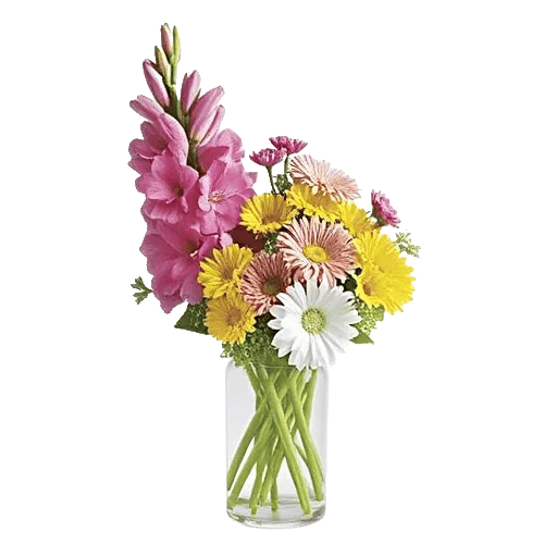 Petal Radiance Bliss