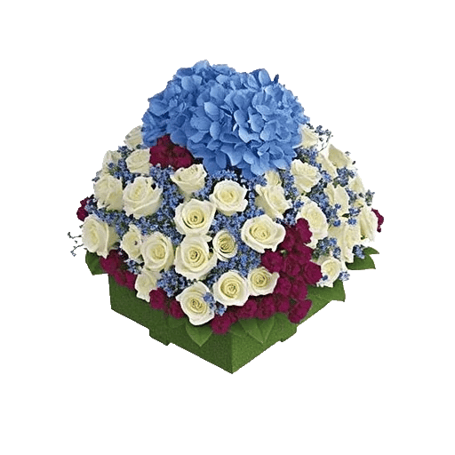 Ivory Blossom Radiance