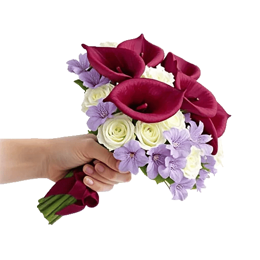 Elegant Calla Lilies