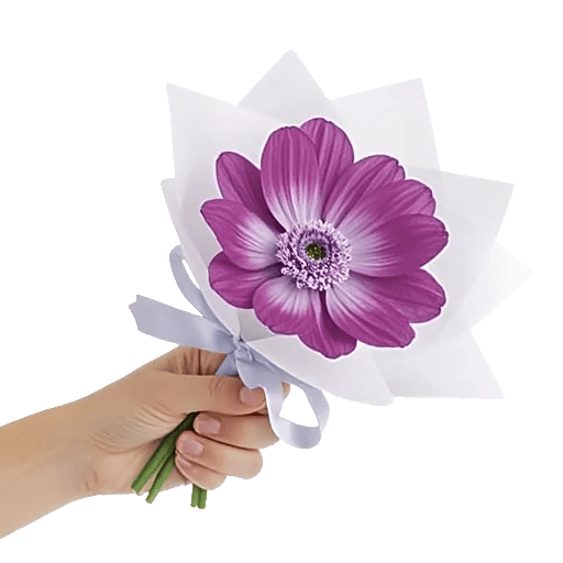 Ivory Blossom Radiance