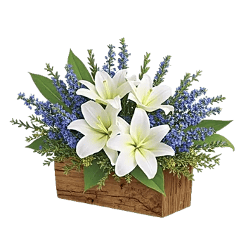 Graceful Lily Display