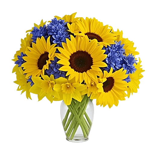 Radiant Bloom Cascade