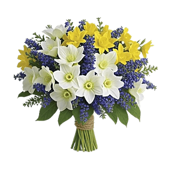 Crisp Spring Blooms